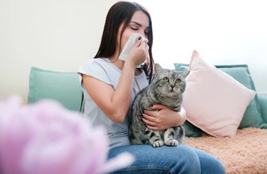 Why Cats Hate When You Sneeze