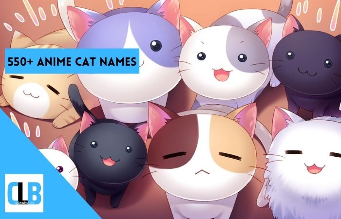 550+ Anime Cat Names for Both Male and Female Cats