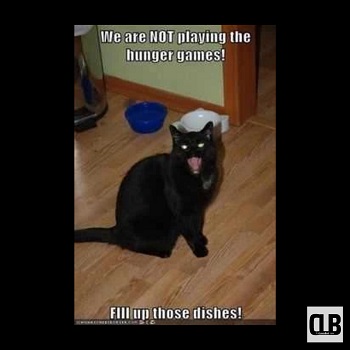annoyed black cat memes