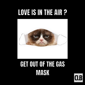 best grumpy cat meme