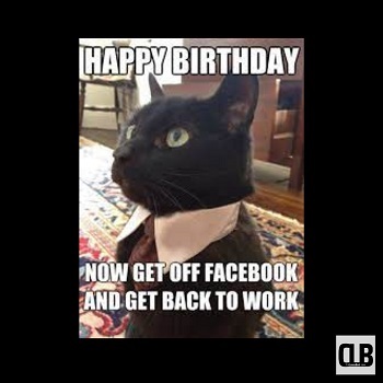 black cat birthday meme