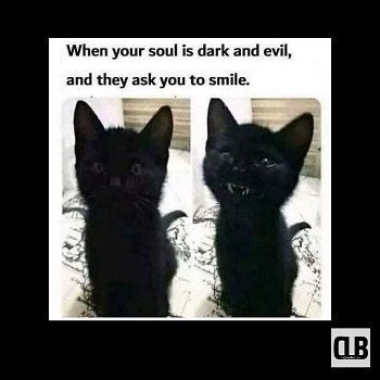 black cat meme face