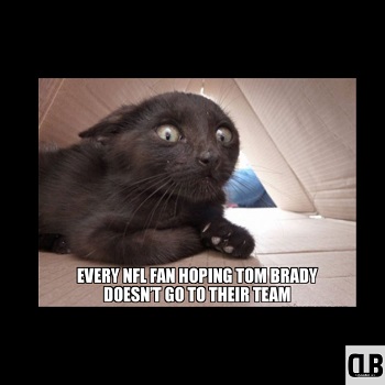 black cat nfl memes