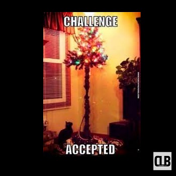 cat christmas tree meme