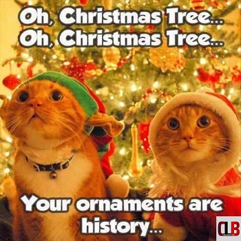 christmas cat ornaments cat memes