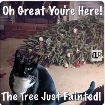 christmas tree cat meme