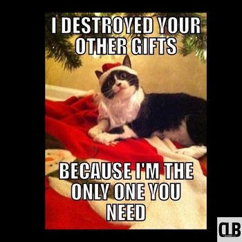 christmas vacation cat meme