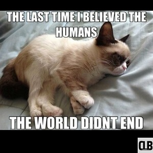 comic grumpy cat meme