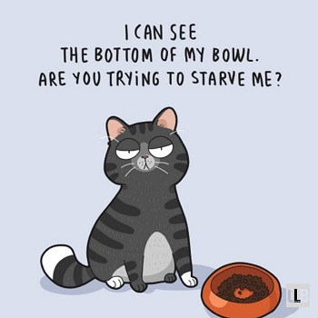 crazy cartoon cute cat meme