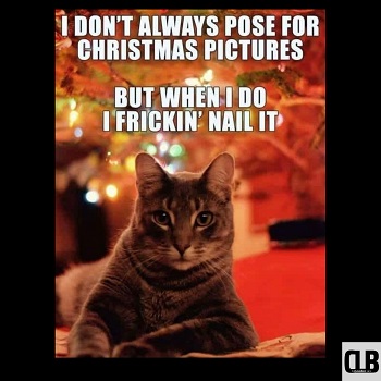 crazy christmas cat meme