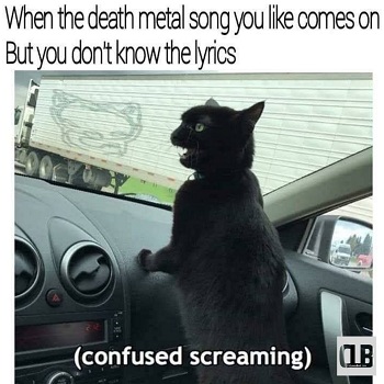 crying black cat memes