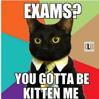 cute cat exam meme