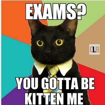 cute cat exam meme