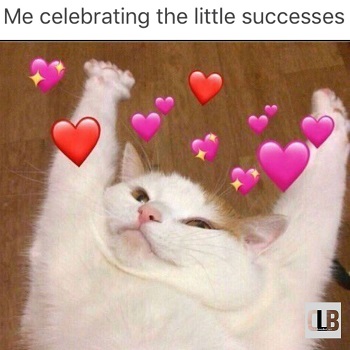 cute cat meme to give to a girl