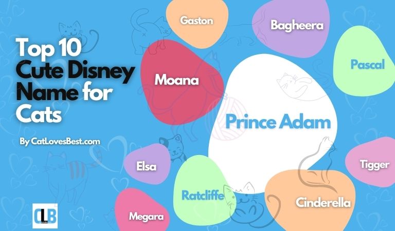 cute disney name for cats