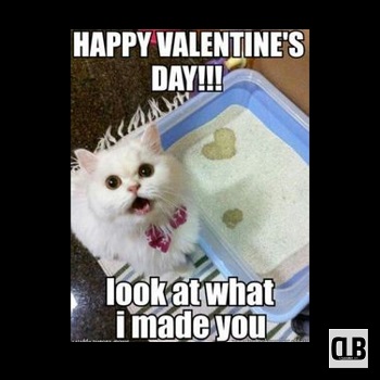 cute love cat meme