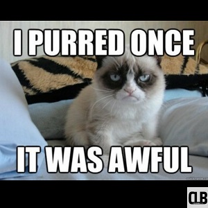 disgusting funny grumpy cat meme