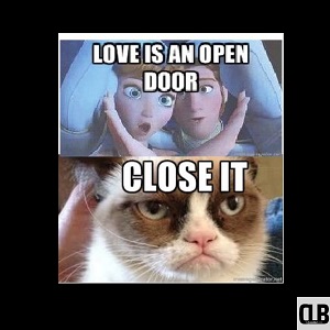 disney frozen grumpy cat meme