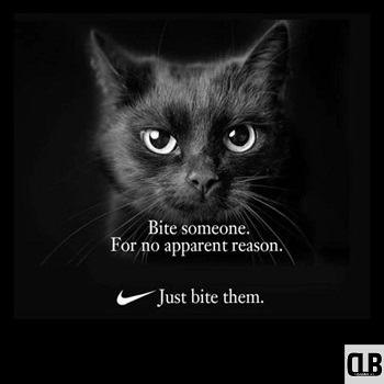 distorted black cat meme 1