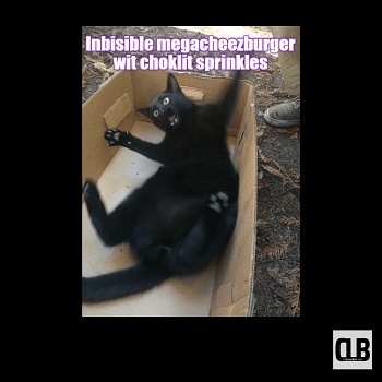 distorted black cat meme