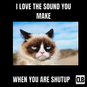 frustrated grumpy cat meme
