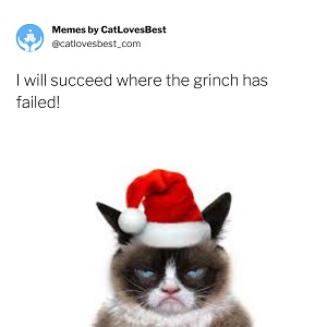 funniest grumpy grumpy cat memes
