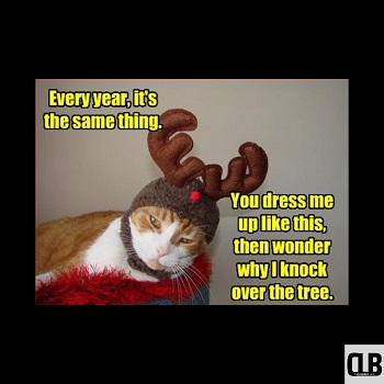 funny christmas cat meme