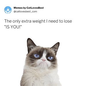 funny clean grumpy cat memes