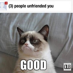 funny grumpy cat memes frozen