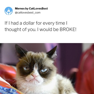 grumpy cat funnies