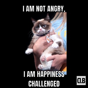 grumpy cat happy birthday memes