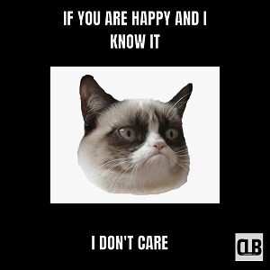 grumpy cat memes funny