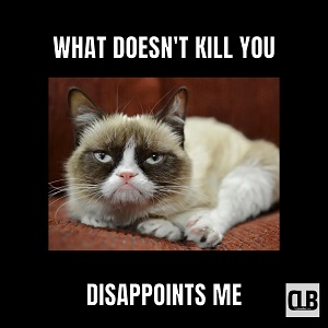 grumpy cat memes twinkle twinkle little star