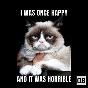 grumpy cat work memes