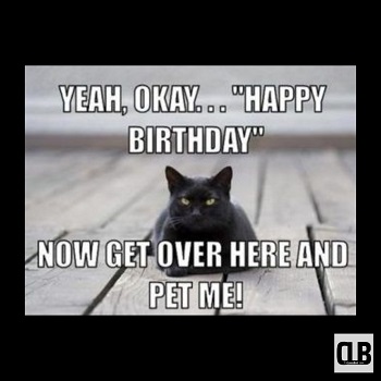 happy birthday black cat meme