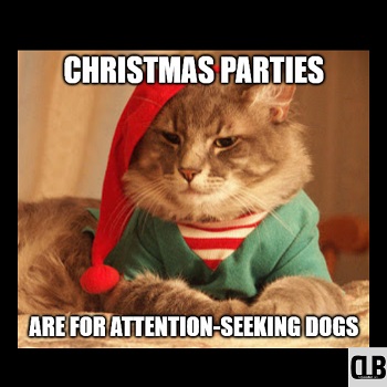 hilarious christmas cat meme