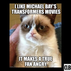 humorous grumpy cat meme
