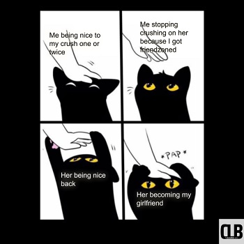 i love you black cat memes