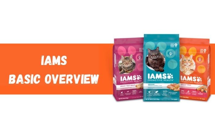 Iams Cat Food Overview