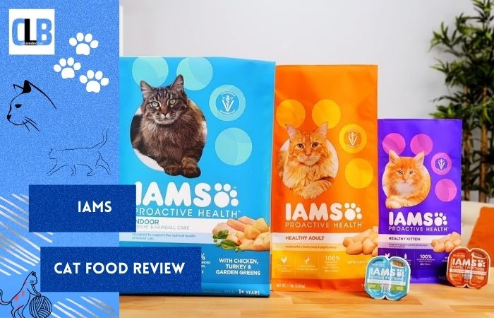 Iams Cat Food Review