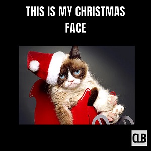 irritating grumpy cat meme