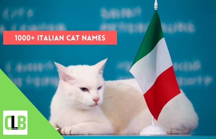 italian cat names