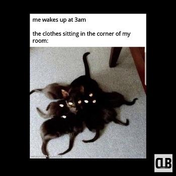 lazy black cat memes