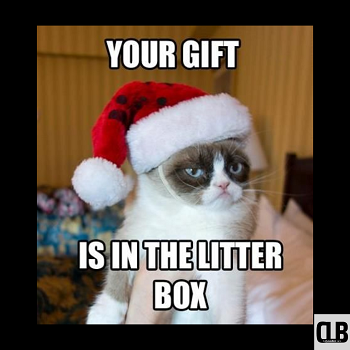 litter box christmas cat meme