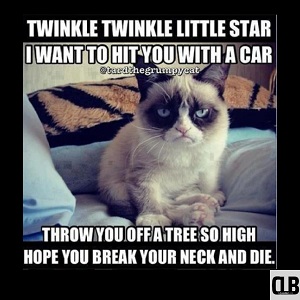 little start grumpy cat meme