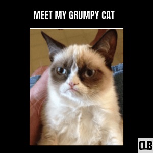 meet my grumpy cat meme