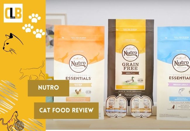 nutro cat food review
