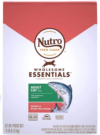 nutro wholesome essentials adult salmon & brown rice dry cat food