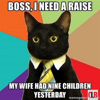 office black cat memes