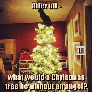 oh christmas tree cat meme